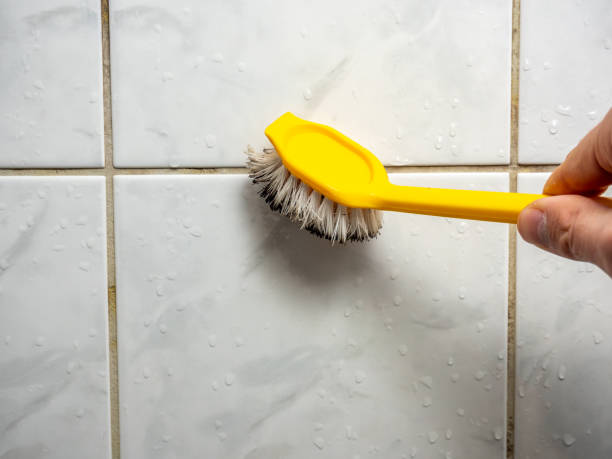 Best Mold Removal Company Near Me  in Cartersville, GA