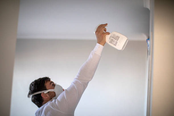 Best Residential Mold Removal  in Cartersville, GA