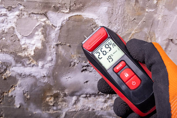 Attic Mold Removal in Cartersville, GA