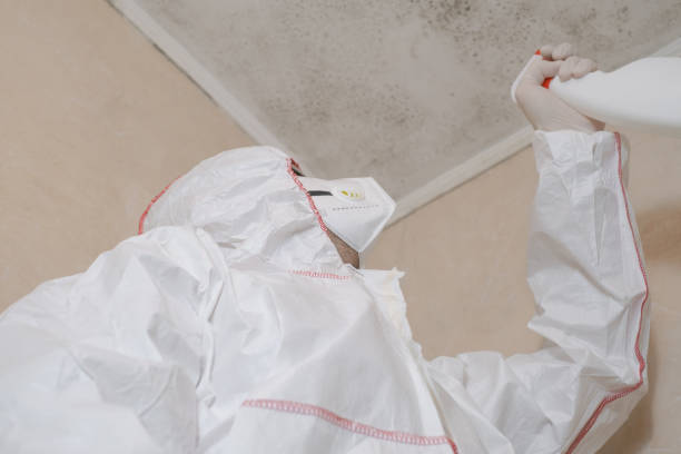 Best Mold Testing  in Cartersville, GA