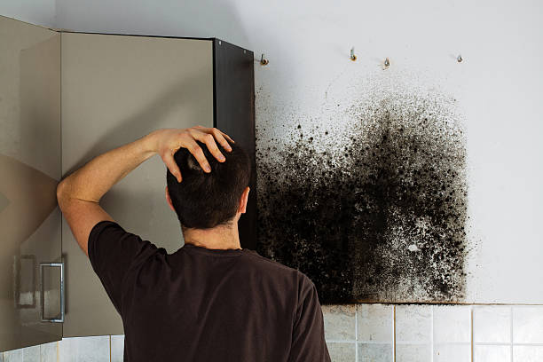Best Home Mold Removal  in Cartersville, GA
